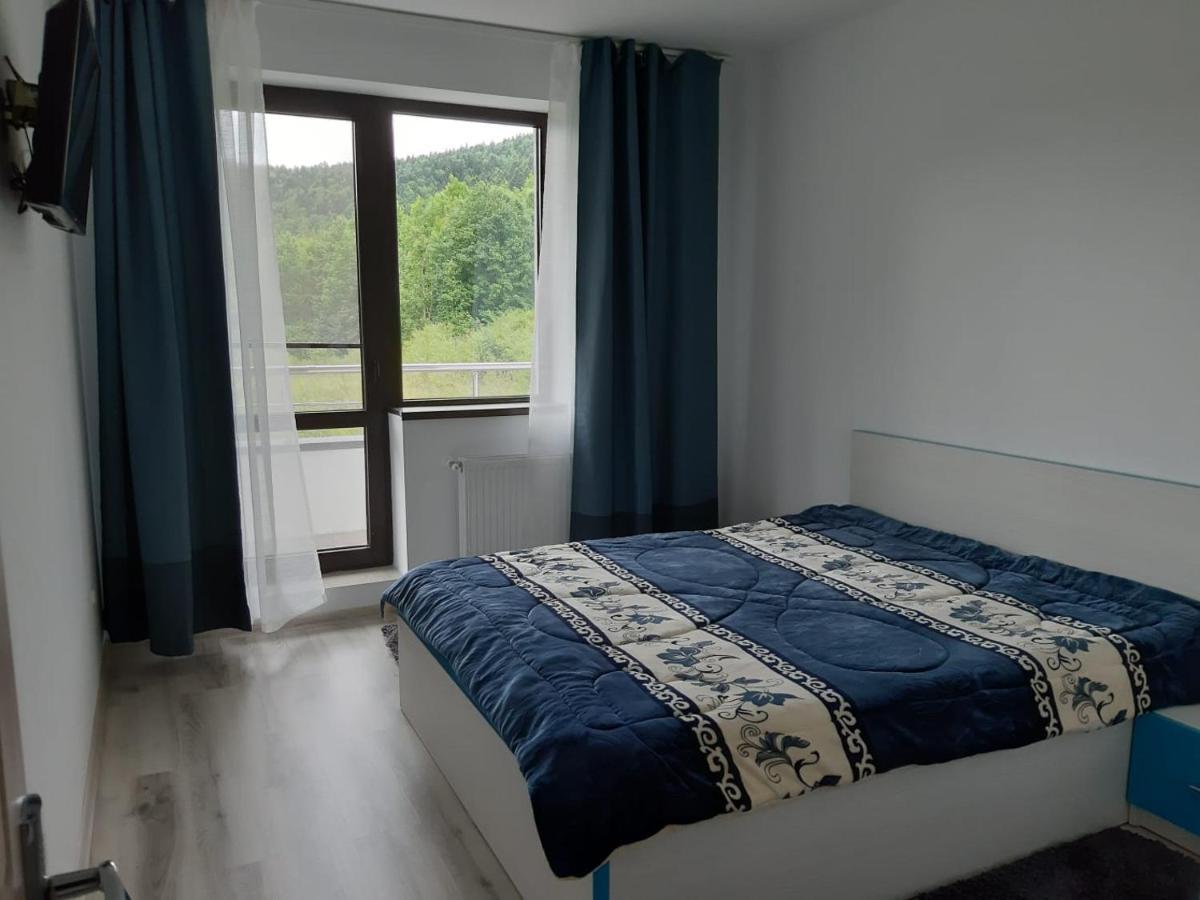Dorin Colina Marei Apartment Sinaia Exterior photo
